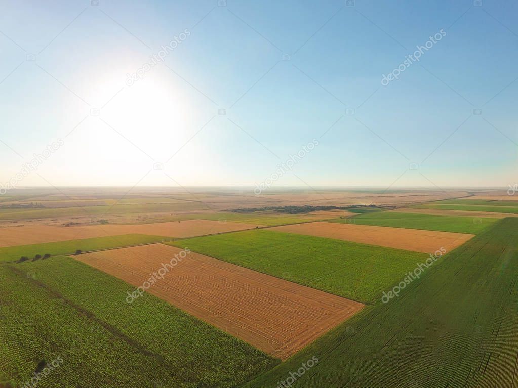 Beautiful agro fields
