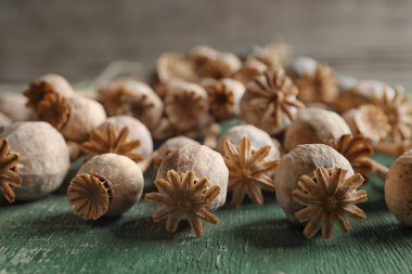 Yeşil ahşap masa, closeup haşhaş başlarına