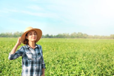 Genç kadın çiftçi alanında güneşli günde daimi