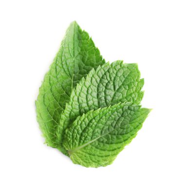 Taze nane yaprakları