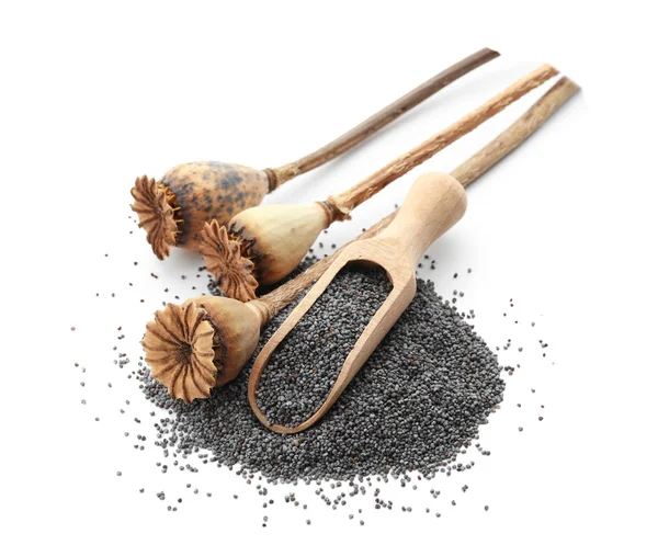 Poppy seeds, dried pods and wooden scoop — Stock Photo, Image