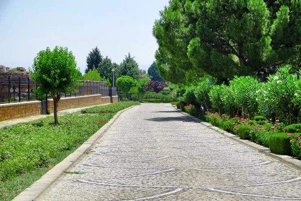 Hermosa vista del sendero en el parque — Foto de Stock