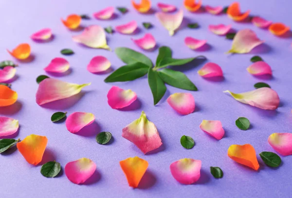 Beautiful composition with flower petals — Stock Photo, Image