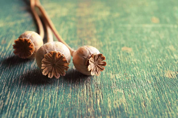 Poppy heads op groene houten tafel, close-up — Stockfoto