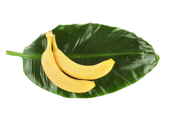 Dojrzałe banany i zielony liść — Zdjęcie stockowe