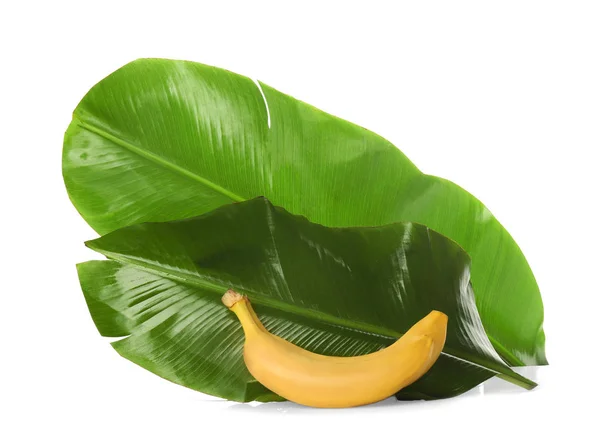 Ripe bananas and green leaves — Stock Photo, Image