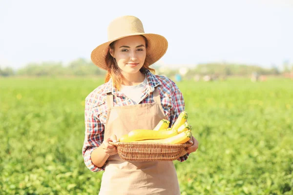 Joven agricultora sosteniendo canasta de mimbre con zucchinis maduros —  Fotos de Stock