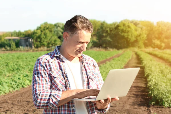 Фермер с помощью ноутбука в поле — стоковое фото