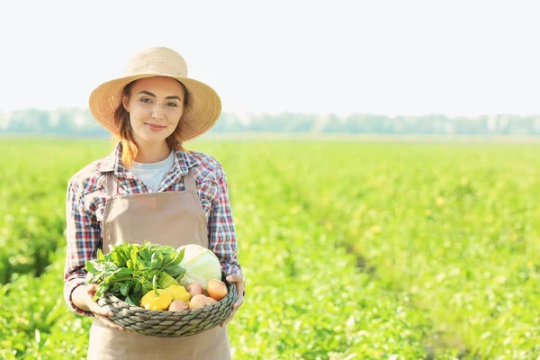 Γυναίκα γεωργός κρατώντας λυγαριά μπολ με τα λαχανικά στο πεδίο — Φωτογραφία Αρχείου