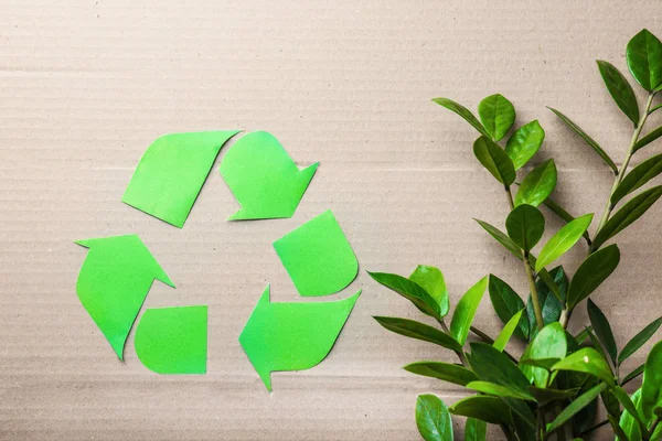 Symbol recyklingu i zielone rośliny na tło kartonowe — Zdjęcie stockowe