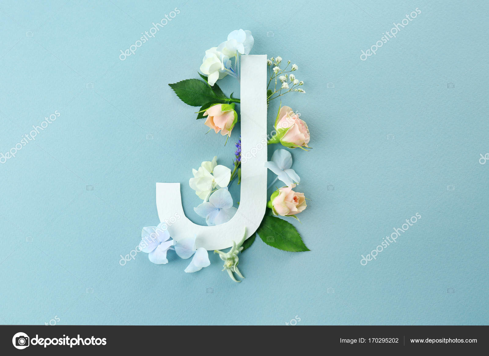 Composition With Letter J And Beautiful Flowers Stock Photo By C Belchonock Composition With Letter J And Beautiful Flowers Stock Photo By C Belchonock