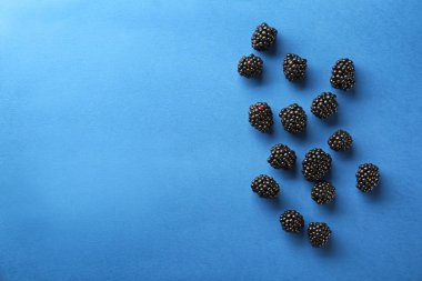 lezzetli olgun böğürtlen 