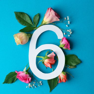 6 numaralı ve güzel çiçekler 
