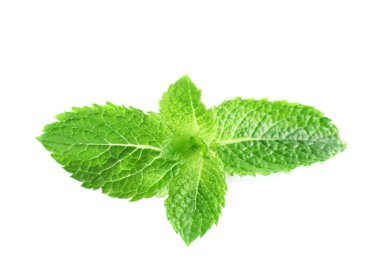 Taze nane yaprakları