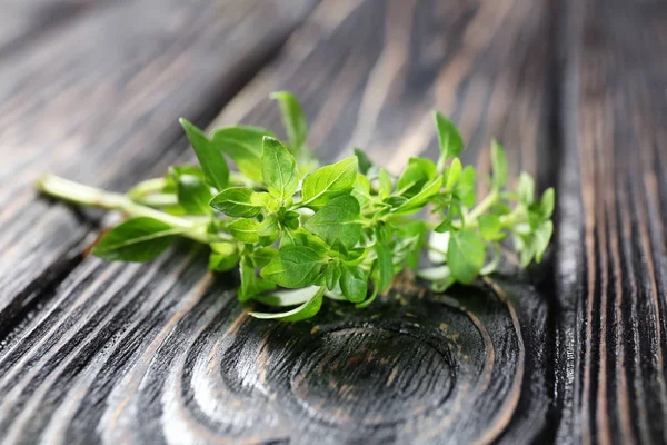 Fresh aromatic oregano — Stock Photo, Image