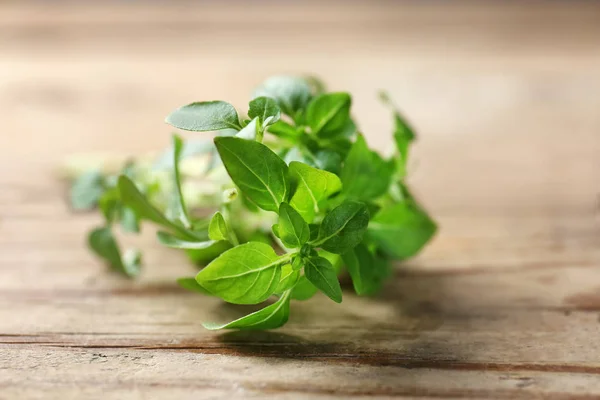 Fresh aromatic oregano — Stock Photo, Image