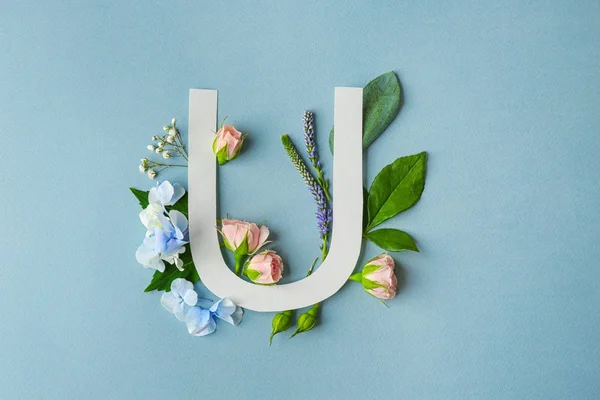 Komposition mit Buchstabe u und schönen Blumen — Stockfoto