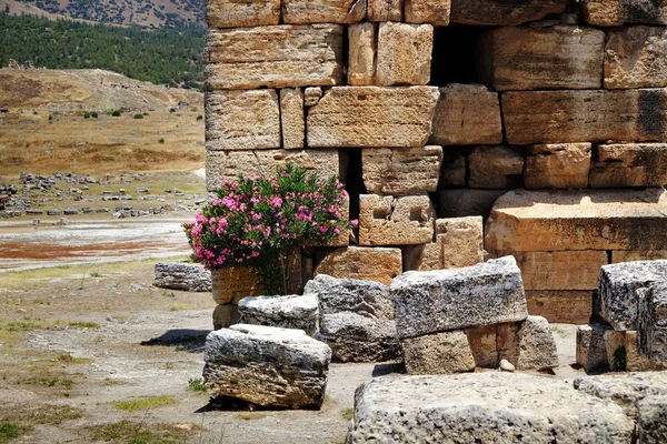 Красивый вид древних руин в солнечный день — стоковое фото