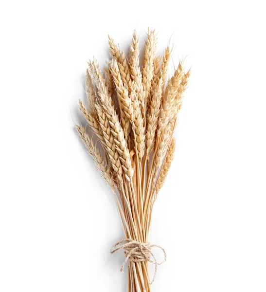 Zralé přírodní pšenice — Stock fotografie
