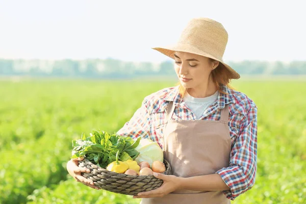 Agricultora sosteniendo cuenco de mimbre con verduras en el campo —  Fotos de Stock