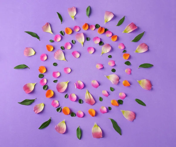 Schöne Komposition mit Blütenblättern — Stockfoto