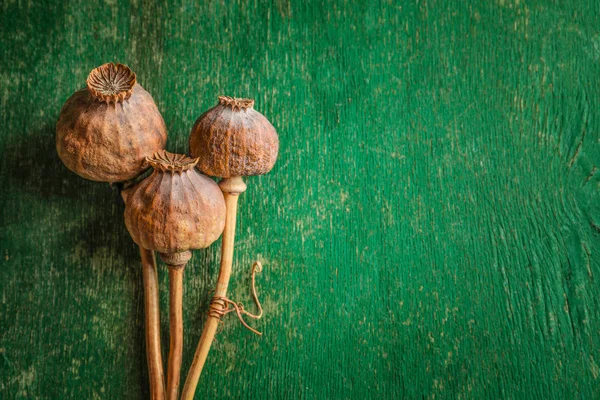 Poppy huvuden på gröna träbord — Stockfoto