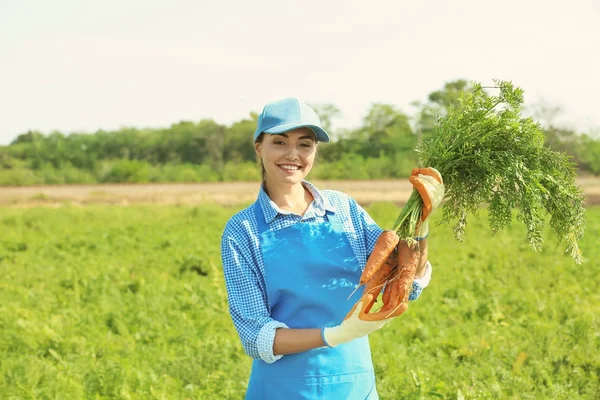 Joven agricultora sosteniendo zanahorias maduras en el campo —  Fotos de Stock