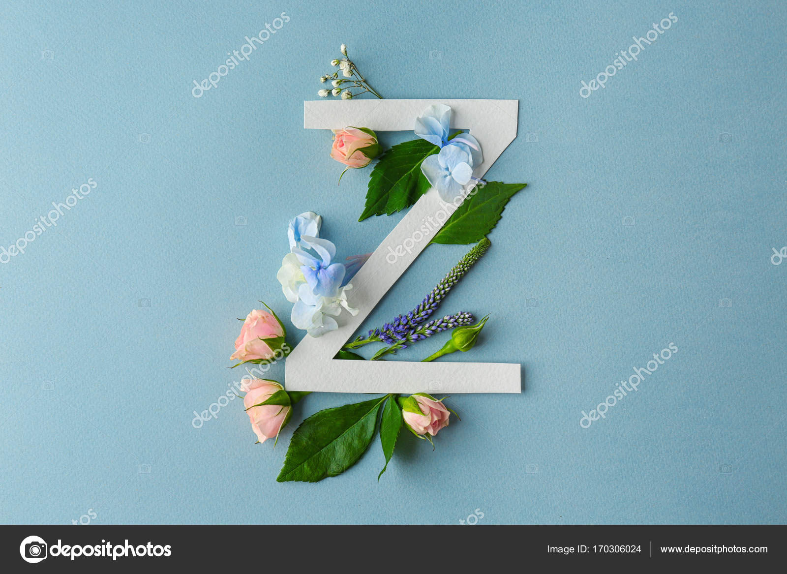 Composición Con La Letra Z Y Hermosas Flores Foto De Stock