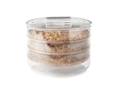  buğday çim tohumları 