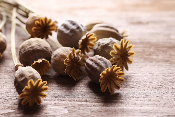 Dried poppy heads — Stock Photo, Image