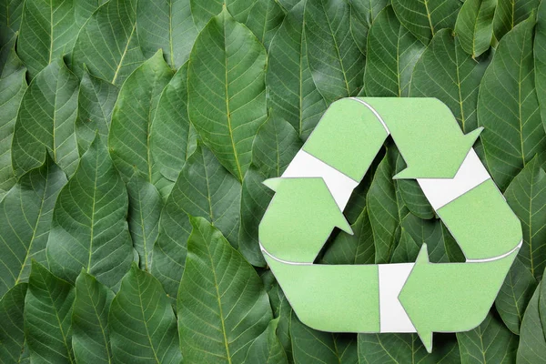 Symbol of recycling on green leaves — Stock Photo, Image