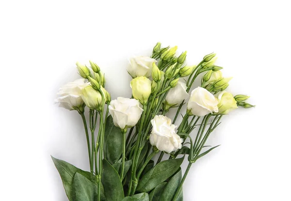 Lindas flores em branco — Fotografia de Stock