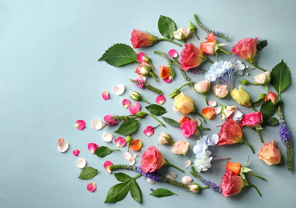 Schöne Komposition mit Blumen — Stockfoto