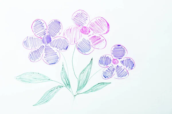 Drawing of beautiful flowers — Stock Photo, Image