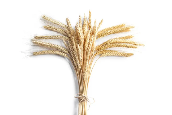 Ripe natural wheat — Stock Photo, Image