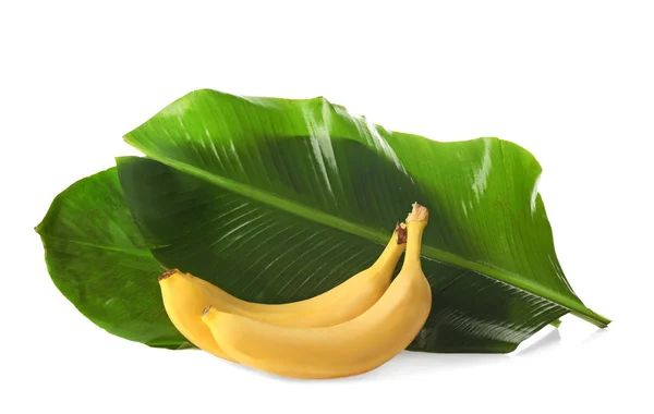Стиглі банани і зелене листя — стокове фото