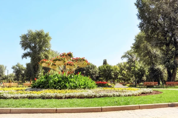 Hermosa vista del parterre en el parque —  Fotos de Stock