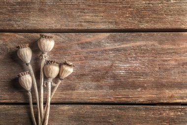 kurutulmuş haşhaş başkanları