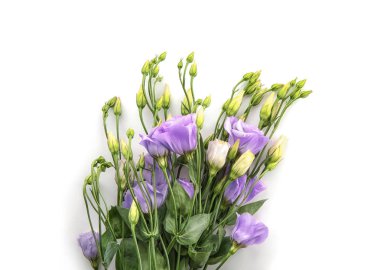 beyaz üzerine güzel çiçekler 