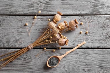 haşhaş başkanları ve tohumlar 