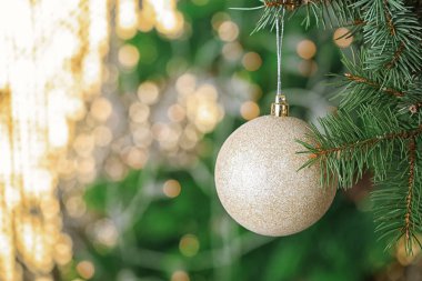 Çam ağacı ile arka plan bulanık topa Noel Brunch