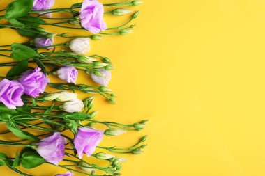 Güzel yaz çiçekleri 