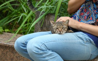 Kadın okşayarak kedi 