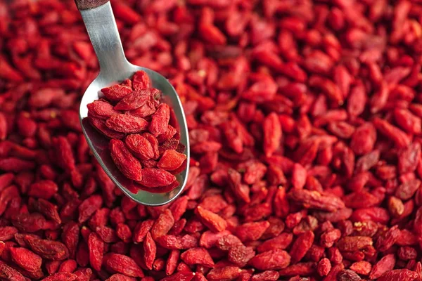 Bagas de goji secas — Fotografia de Stock