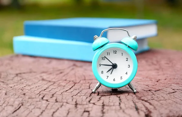 Reloj despertador en árbol stub al aire libre —  Fotos de Stock