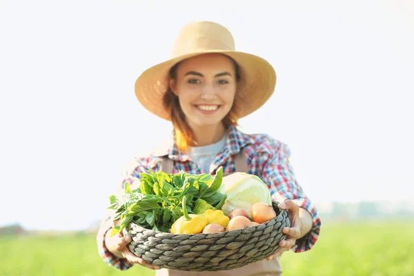 Kobiece rolnik posiadający miski wiklinowe z warzywami w dziedzinie — Zdjęcie stockowe