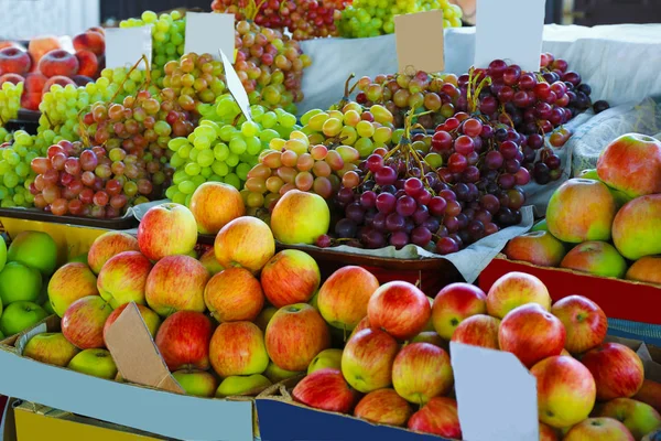 Assortment of fresh fruits — Stock Photo, Image