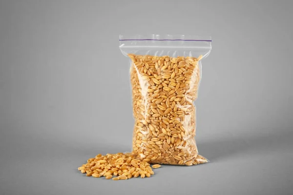 Wheat grass seeds — Stock Photo, Image