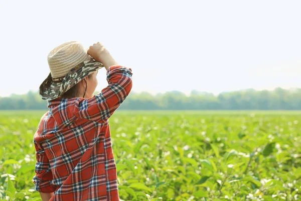 Γυναίκα γεωργός στέκεται στον τομέα ηλιόλουστη ημέρα — Φωτογραφία Αρχείου
