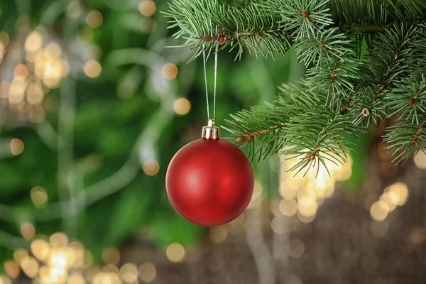 Brunch der Tanne mit Weihnachtskugel auf verschwommenem Hintergrund — Stockfoto